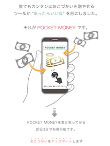 POCKET MONEY(ポケットマネー)
