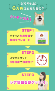 マネーキャッスル