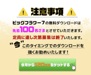 ビッグフラワー7