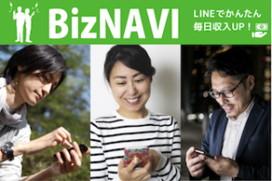 BizNAVI (ビズナビ)